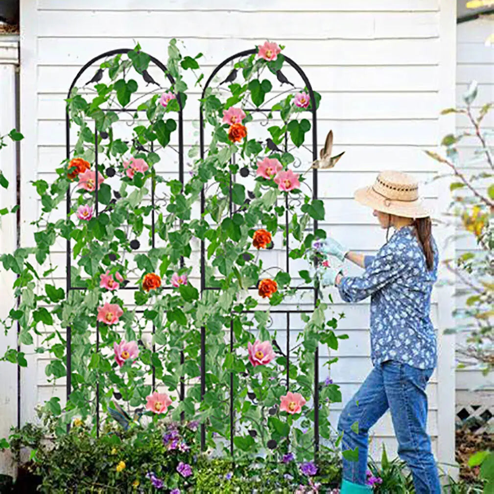 Sturdy Metal Garden Trellis Fence for Climbing Flowers and Vines