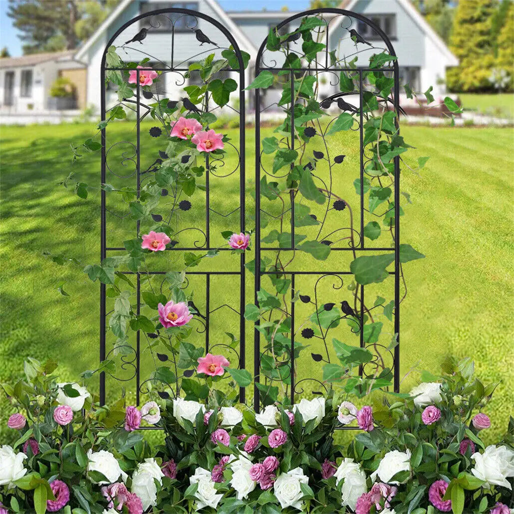 Sturdy Metal Garden Trellis Fence for Climbing Flowers and Vines
